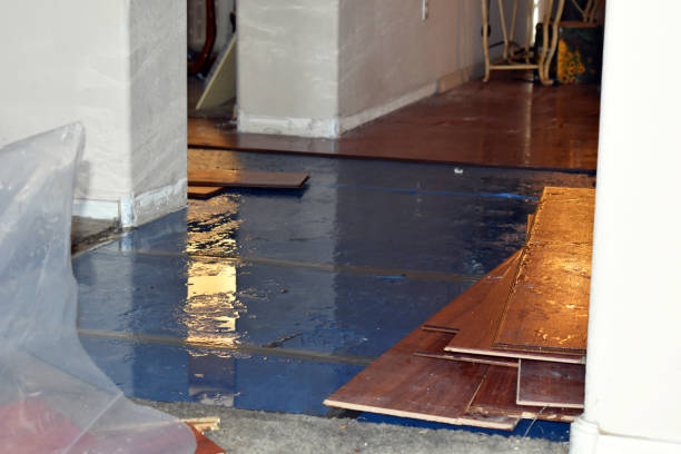 Professional Emergency Water Damage Restoration technician working in Fowler, OH